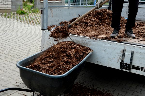 Cedar Mulch Delivery - Cedar Mulch Delivery Dallas, Texas